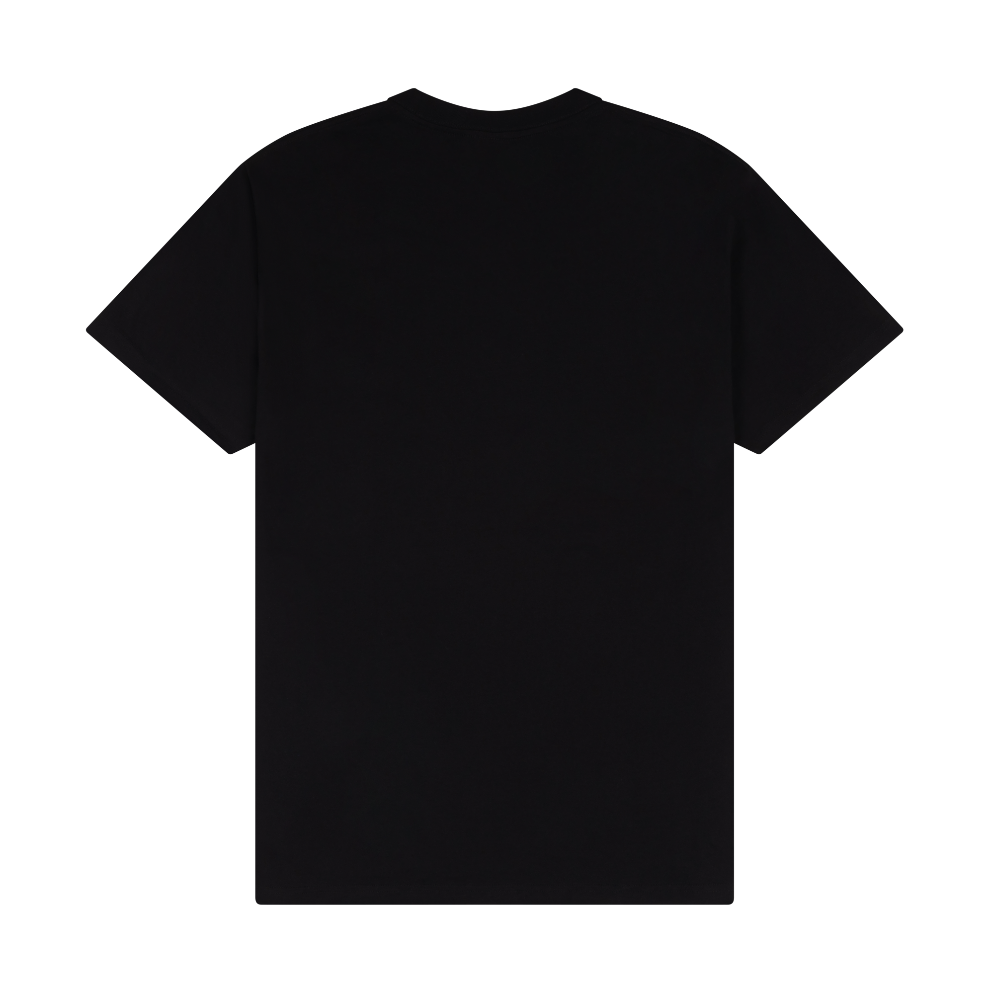 Stereophonics - Summer '25 Tour Black T-Shirt