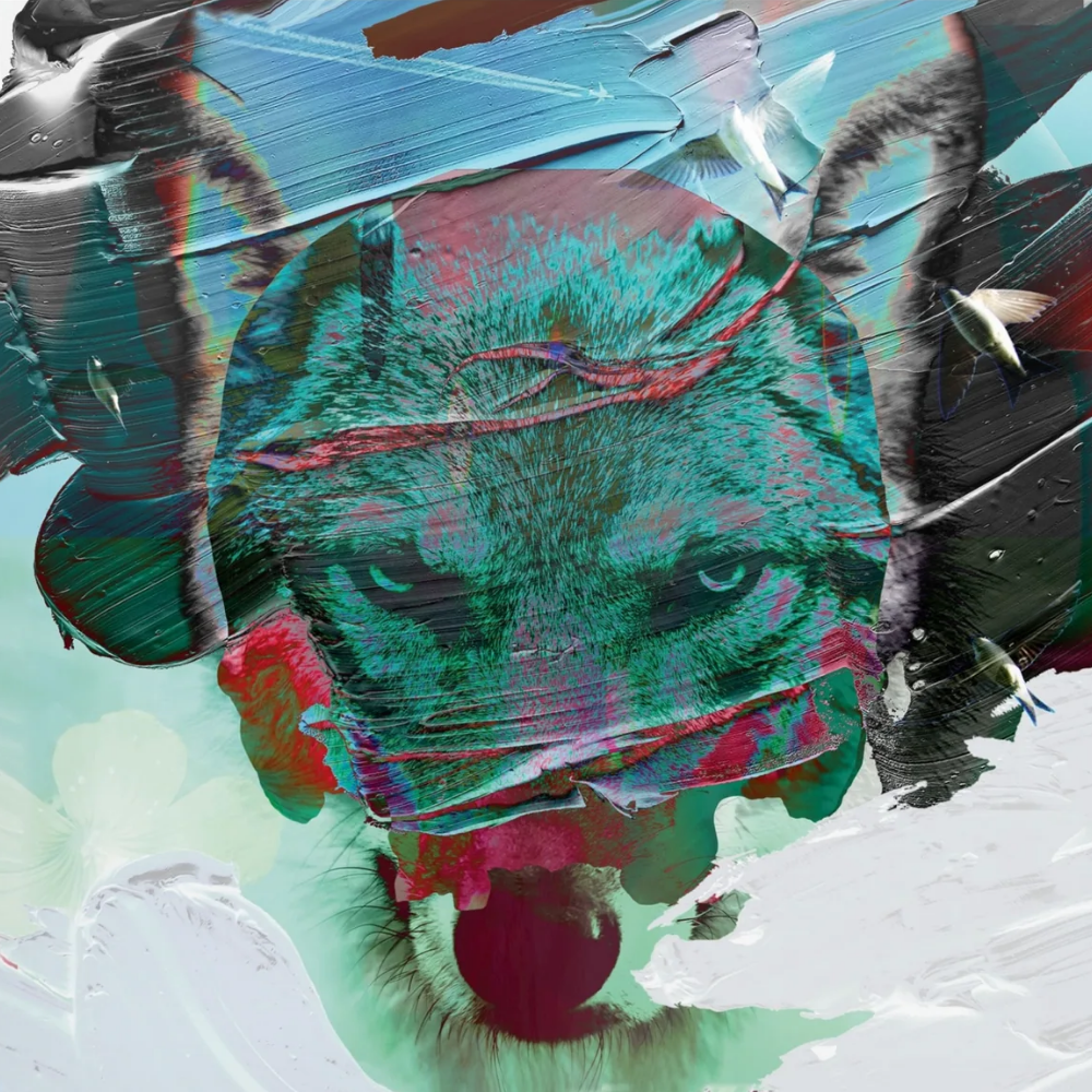 Scream Above The Sounds